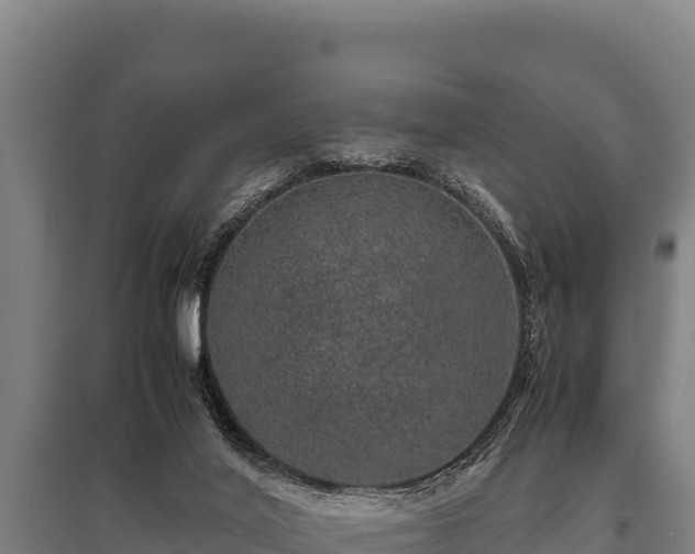 X0000095950020200801181432