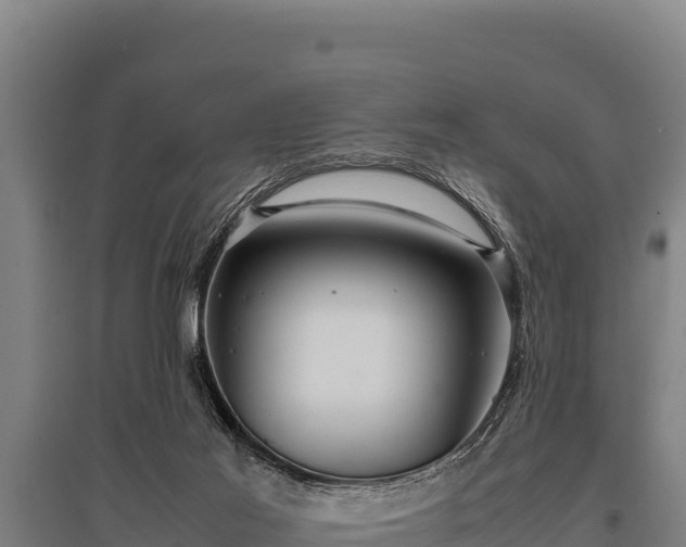 X0000095950021200801181432