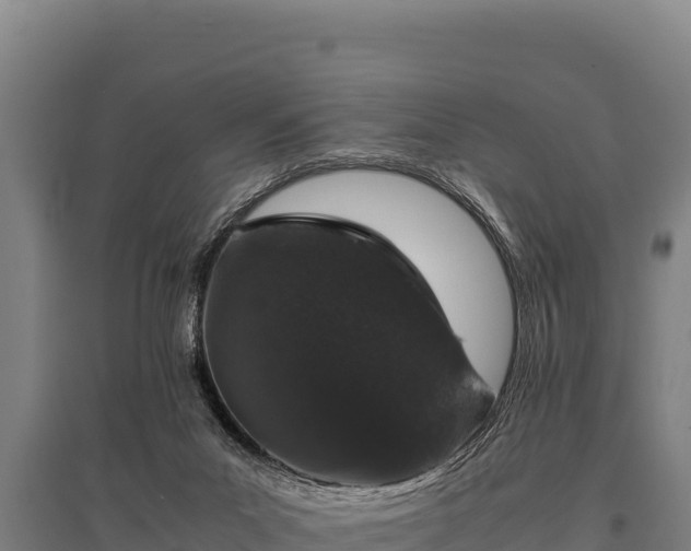 X0000095950023200801181432