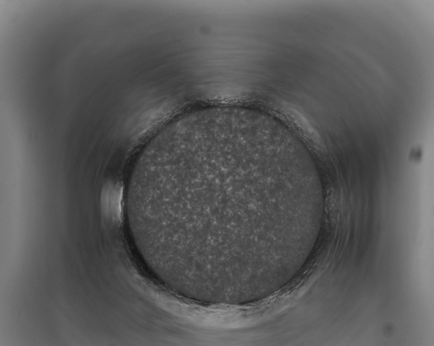 X0000095950024200801181432