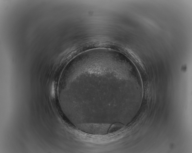 X0000095950026200801181432