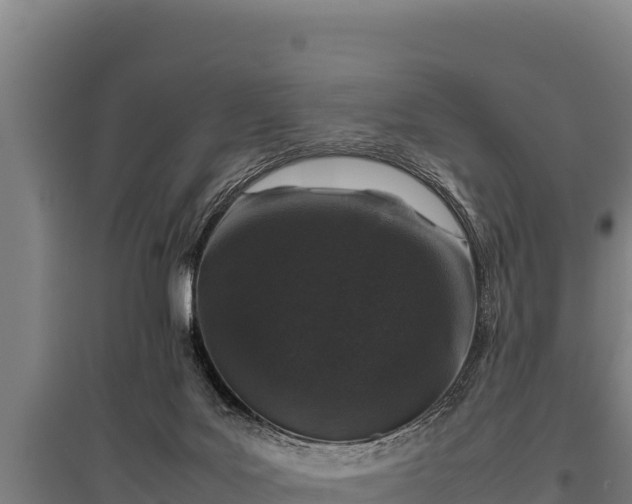 X0000095950027200801181432