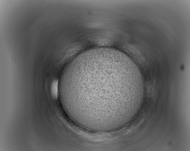 X0000095950028200801181432