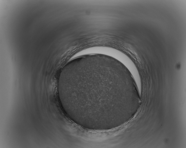 X0000095950029200801181432