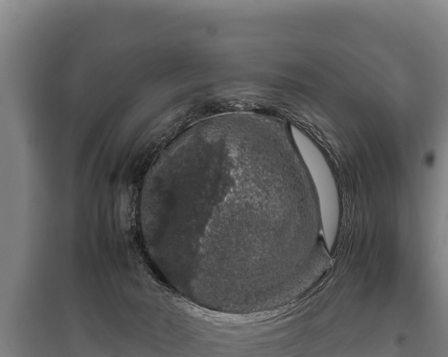 X0000095950030200801181432