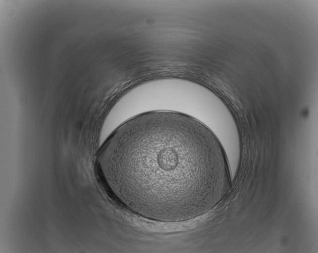 X0000095950031200801181432