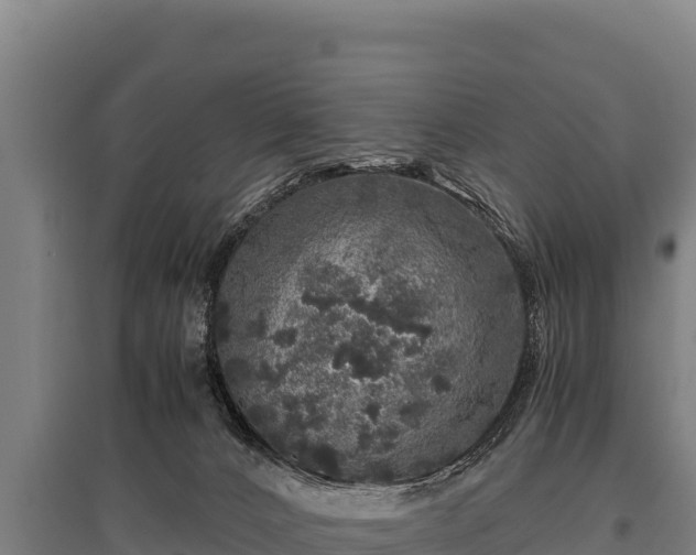 X0000095950032200801181432