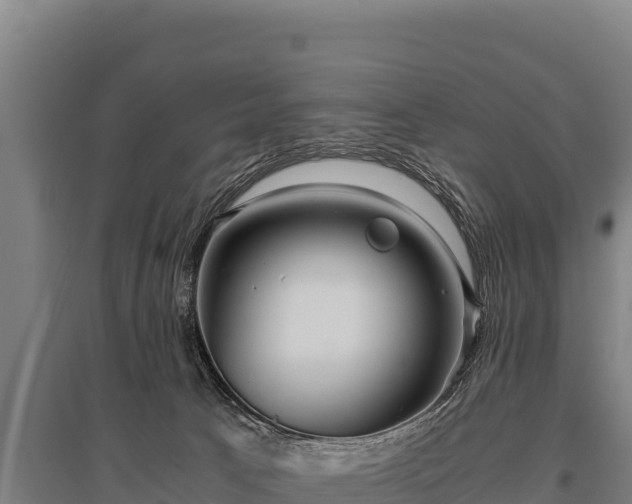 X0000095950033200801181432