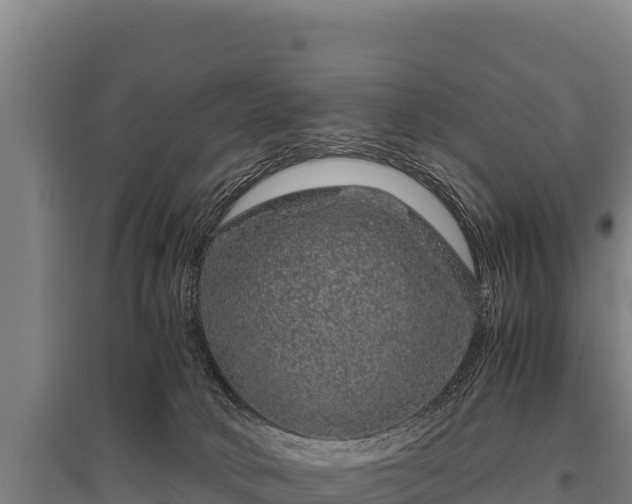 X0000095950034200801181432