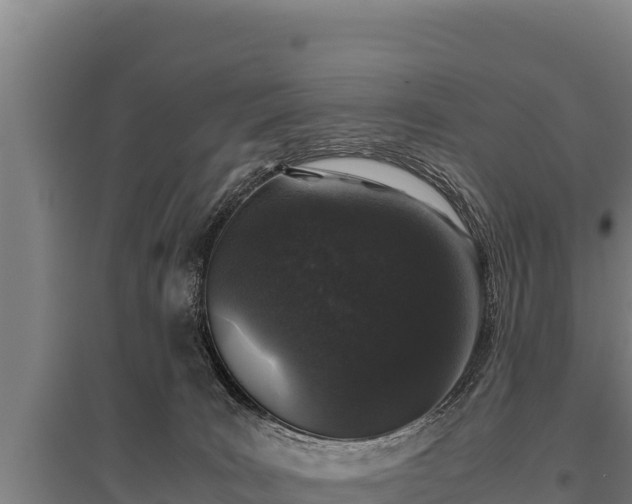 X0000095950035200801181432