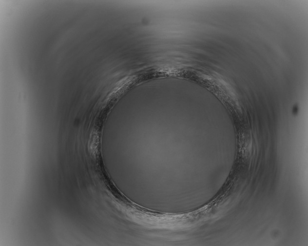 X0000095950036200801181432