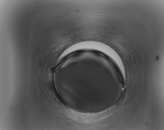 X0000095950039200801181432