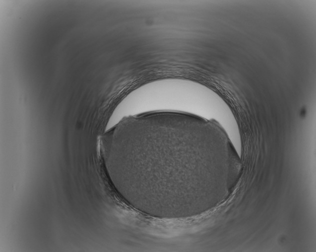 X0000095950041200801181432