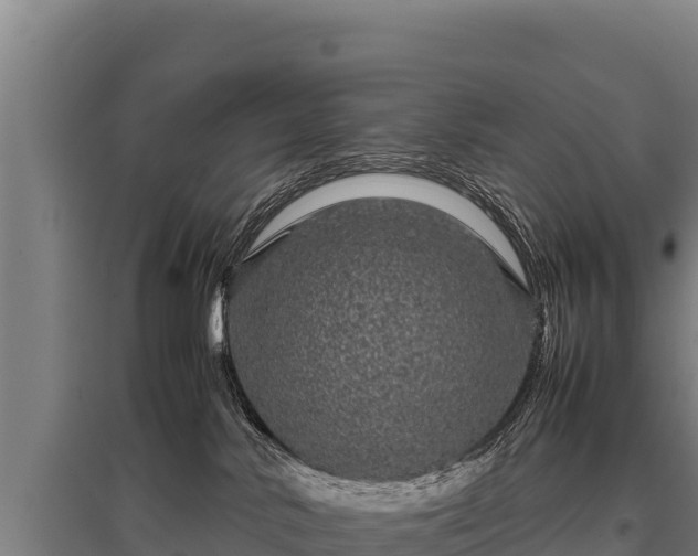 X0000095950042200801181432