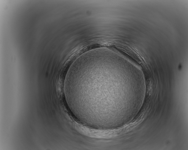 X0000095950044200801181432