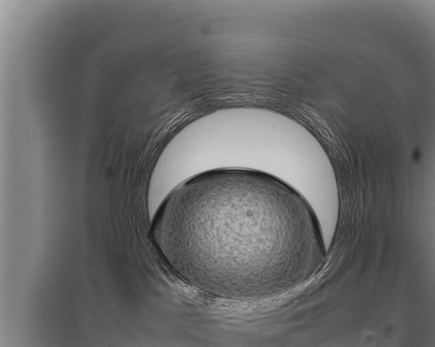 X0000095950045200801181432