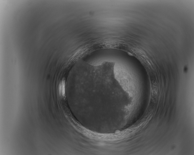 X0000095950046200801181432