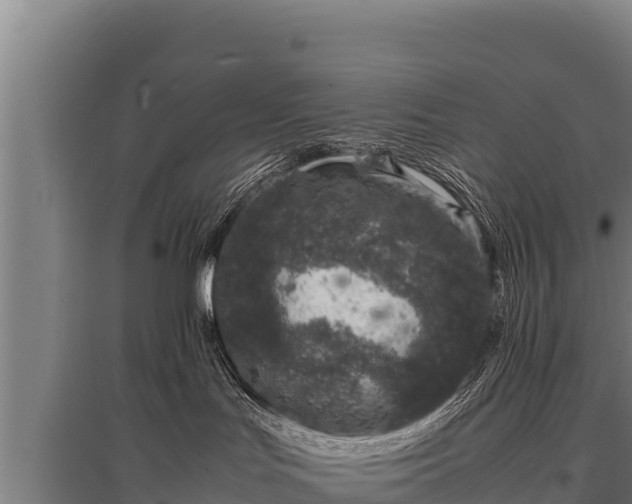 X0000095950047200801181432