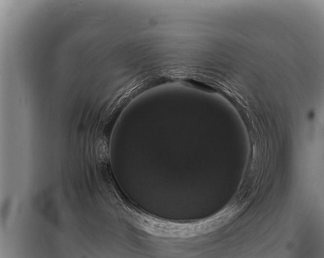 X0000095950048200801181432