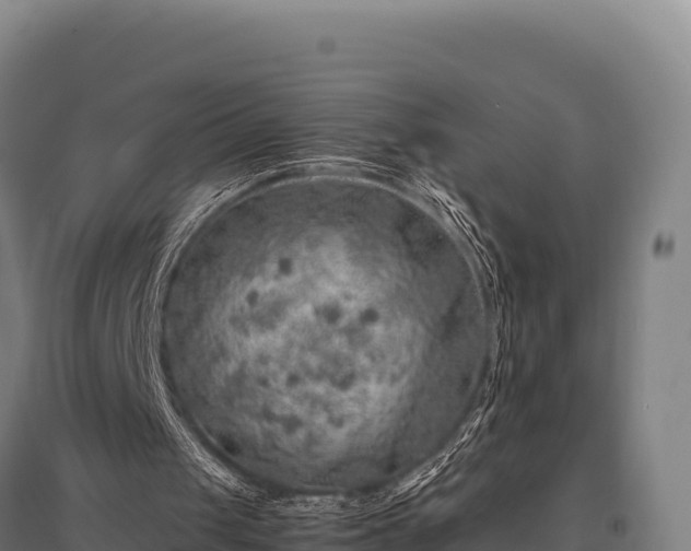 X0000095950049200801181431