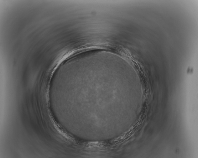 X0000095950050200801181431