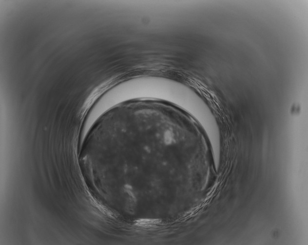 X0000095950051200801181431