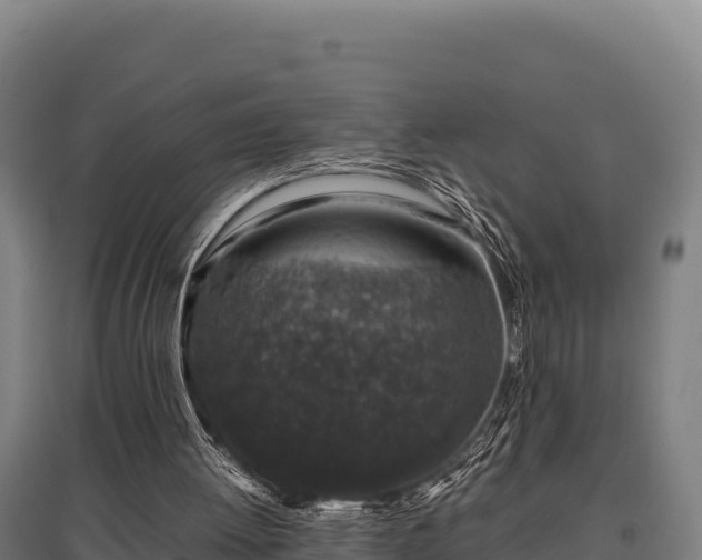 X0000095950052200801181431