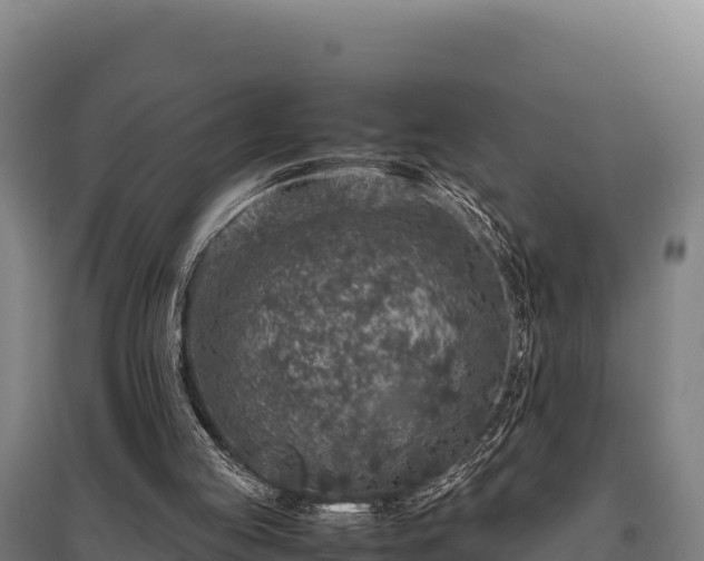 X0000095950053200801181431