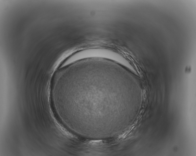 X0000095950054200801181431