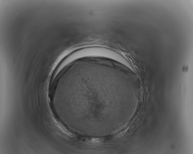 X0000095950056200801181431