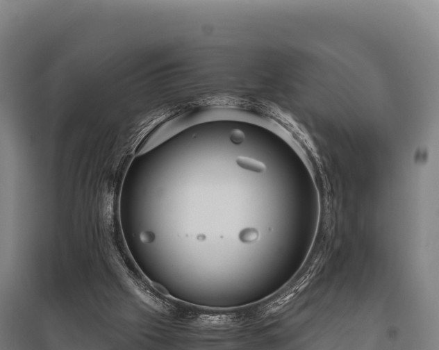 X0000095950057200801181431