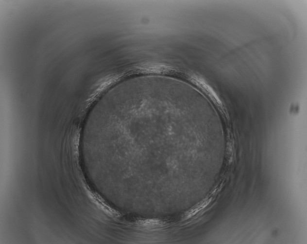 X0000095950058200801181431