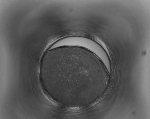 X0000095950059200801181431