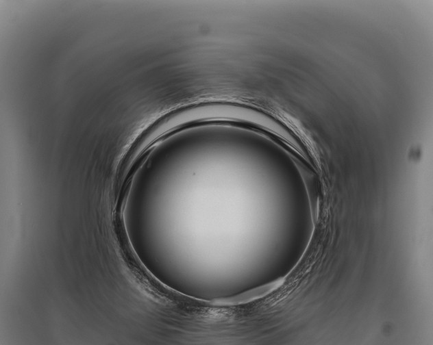 X0000095950060200801181431