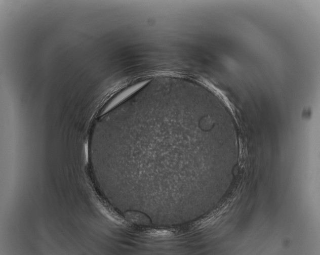 X0000095950061200801181431