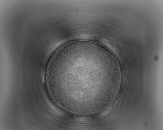 X0000095950062200801181431