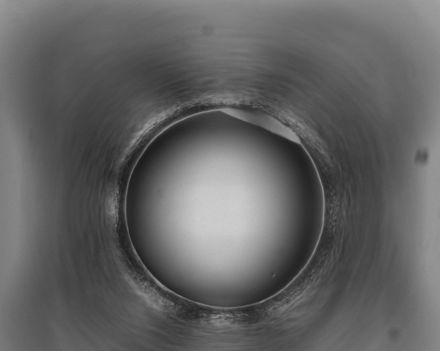 X0000095950064200801181431