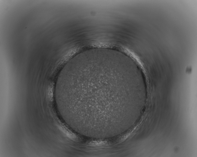 X0000095950065200801181431