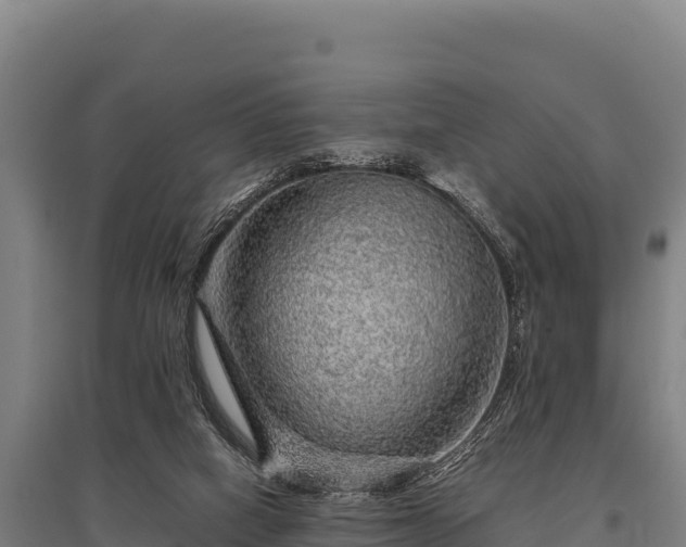 X0000095950066200801181431