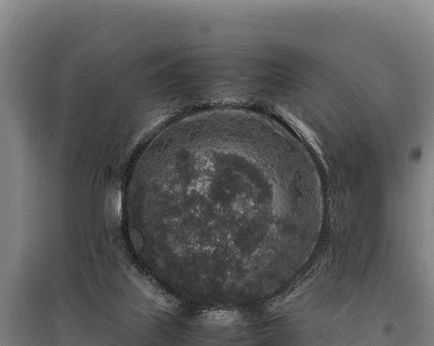 X0000095950067200801181431