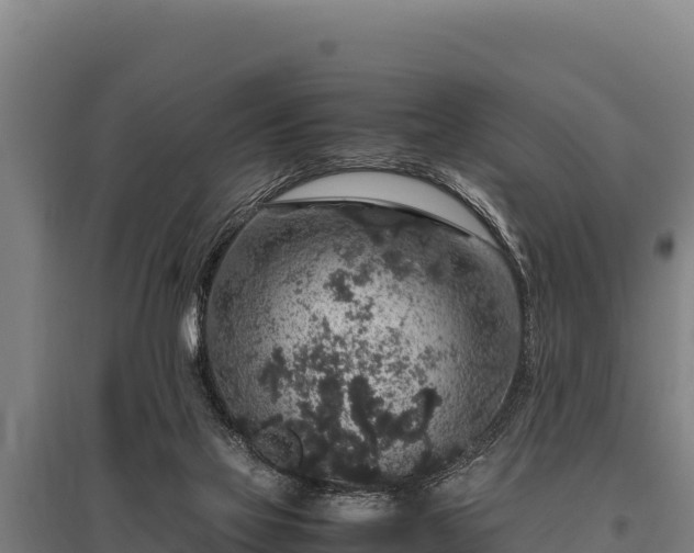 X0000095950069200801181431