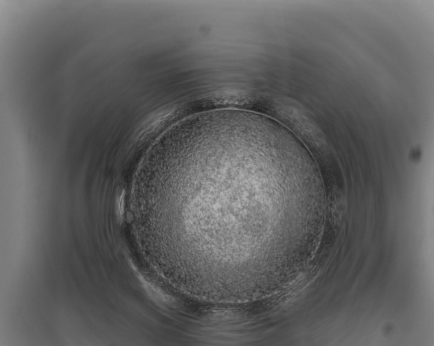 X0000095950070200801181431