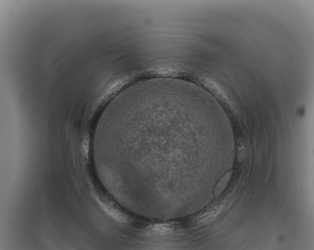 X0000095950072200801181431