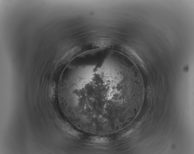 X0000095950073200801181431