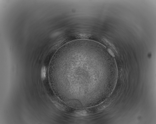 X0000095950075200801181431