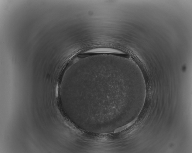 X0000095950076200801181431