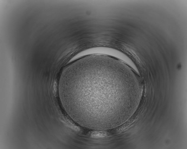 X0000095950077200801181431