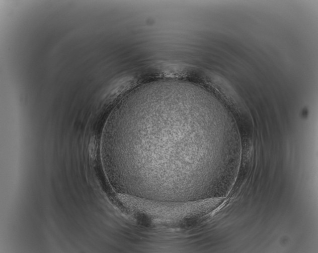 X0000095950078200801181431