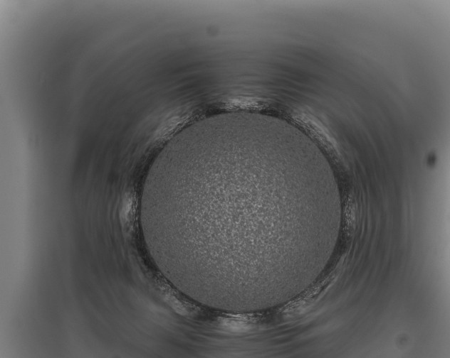 X0000095950079200801181431