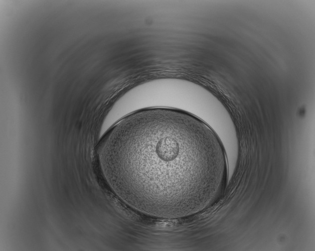 X0000095950080200801181431